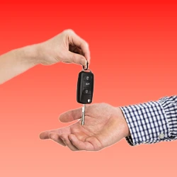 Nuevo https://cpjrosas.com.mx/wp-content/uploads/2025/01/Nuevo.webp